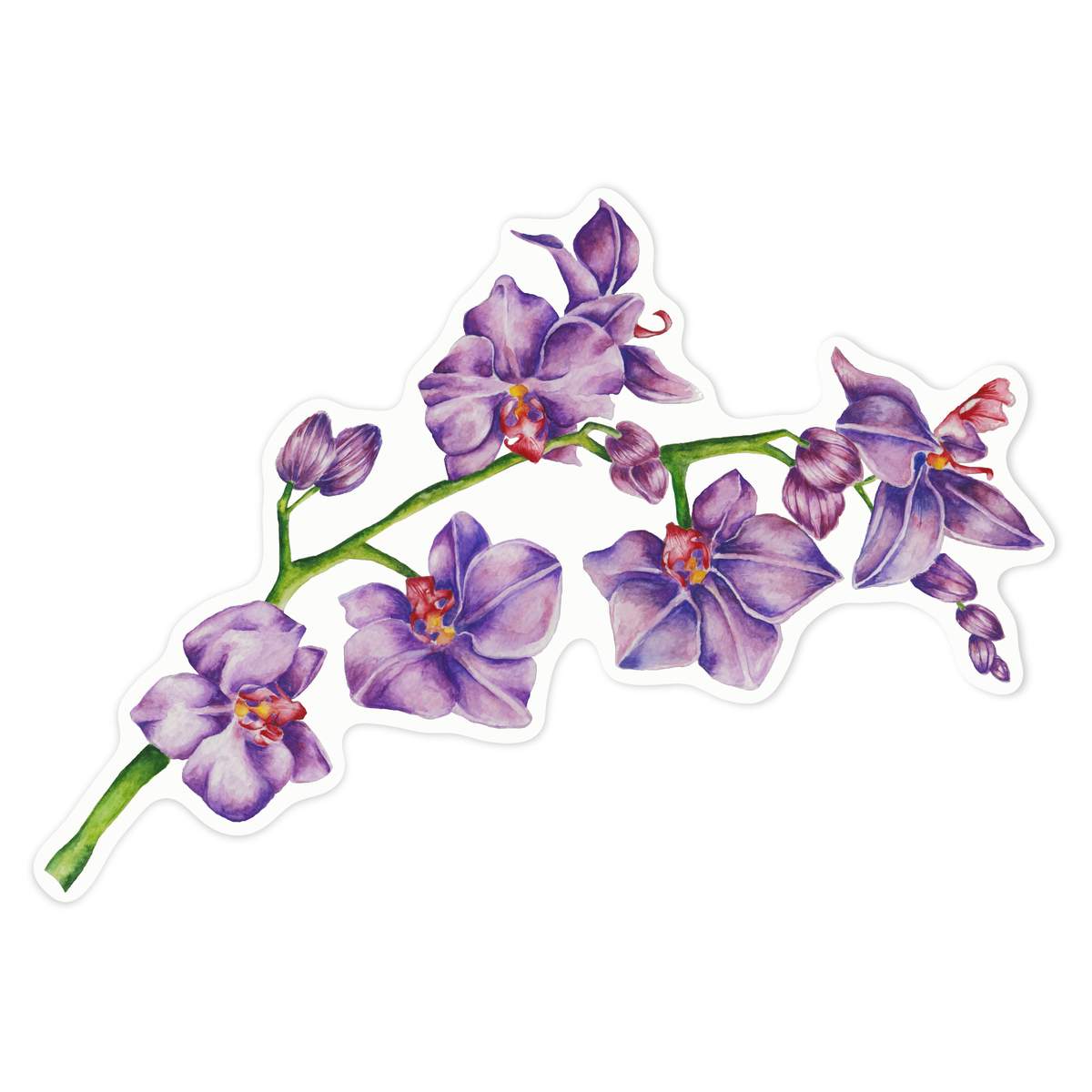 'Purple Orchid Branch' White Premium Vinyl Decal Sticker – Waterproof, Durable & Easy to Apply - For Car Bumpers, Windows, Bins & More - Large (210mm) (DW00053411)