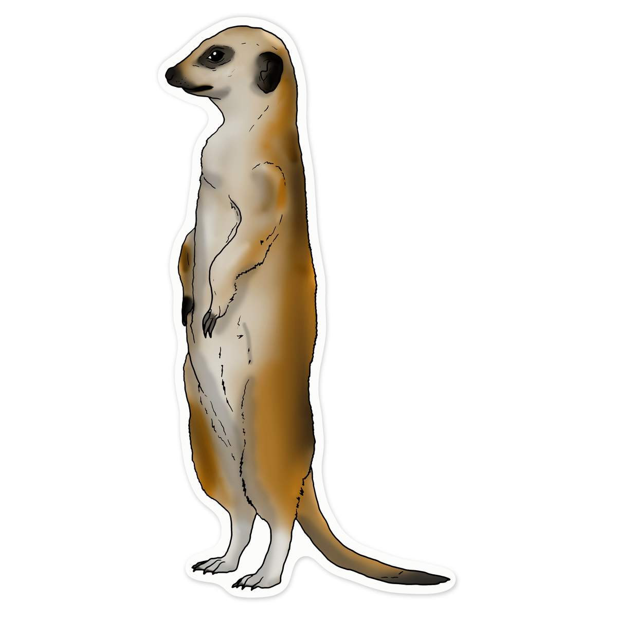 'Alert Meerkat' Vinyl Decal Sticker - White, 21cm - Waterproof Permanent Graphic for Cars, Windows, Bins and Smooth Surfaces (DW00053463)