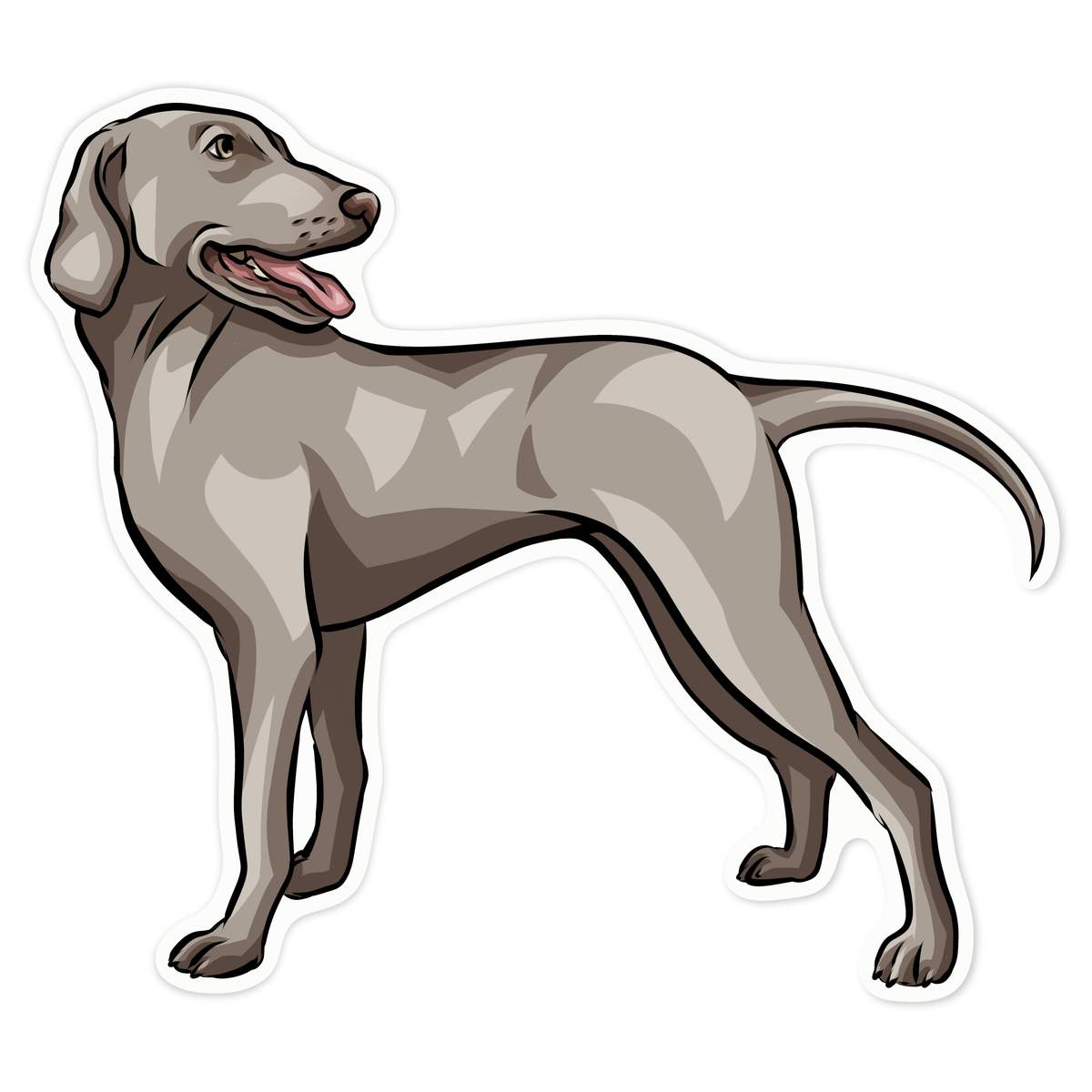 'Weimaraner Dog' White Premium Vinyl Decal Sticker – Waterproof, Durable & Easy to Apply - For Car Bumpers, Windows, Bins & More - Large (210mm) (DW00055031)