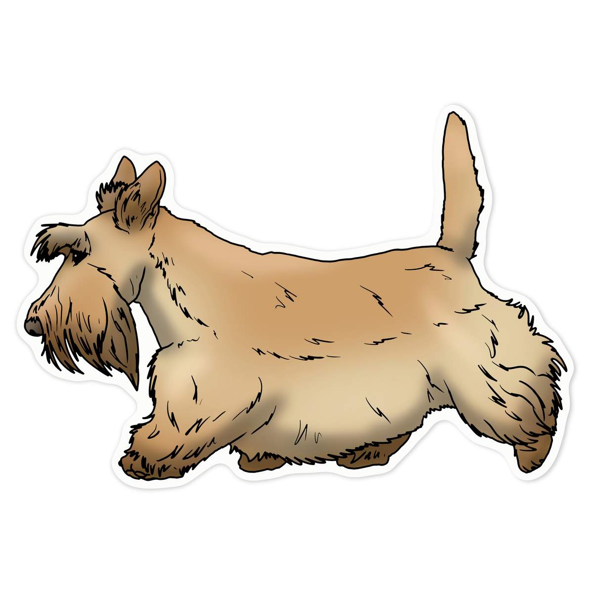 'Walking Scottish Terrier' Vinyl Decal Sticker - White, 21cm - Waterproof Permanent Graphic for Cars, Windows, Bins and Smooth Surfaces (DW00083574)