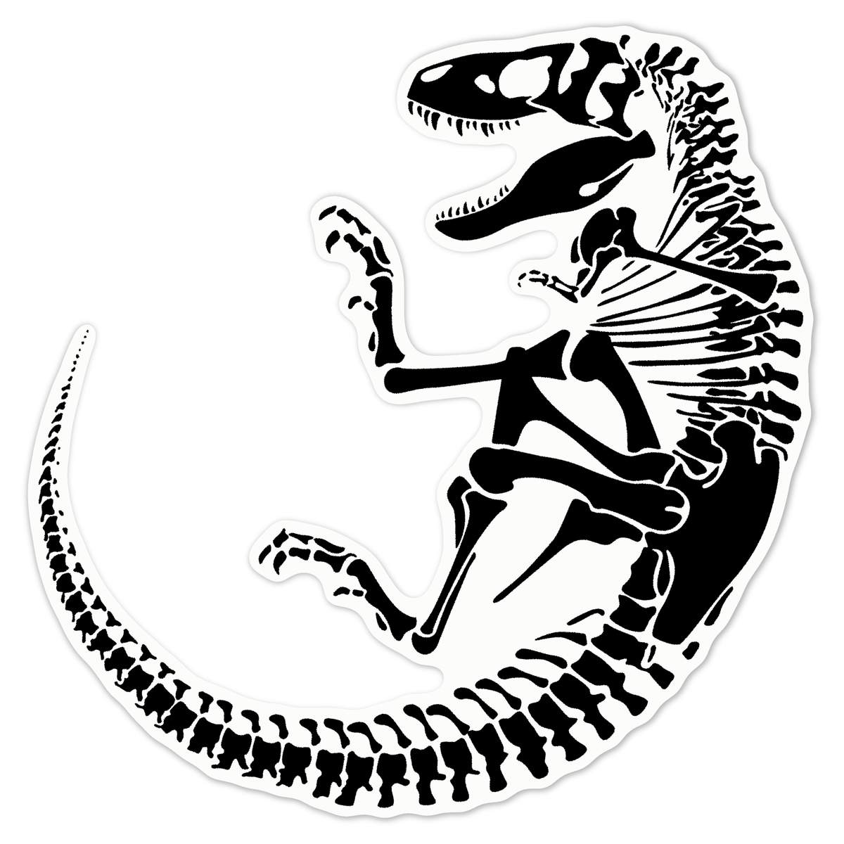 'Tyrannosaurus Fossil' White Premium Vinyl Decal Sticker – Waterproof, Durable & Easy to Apply - For Car Bumpers, Windows, Bins & More - Large (210mm) (DW00087530)