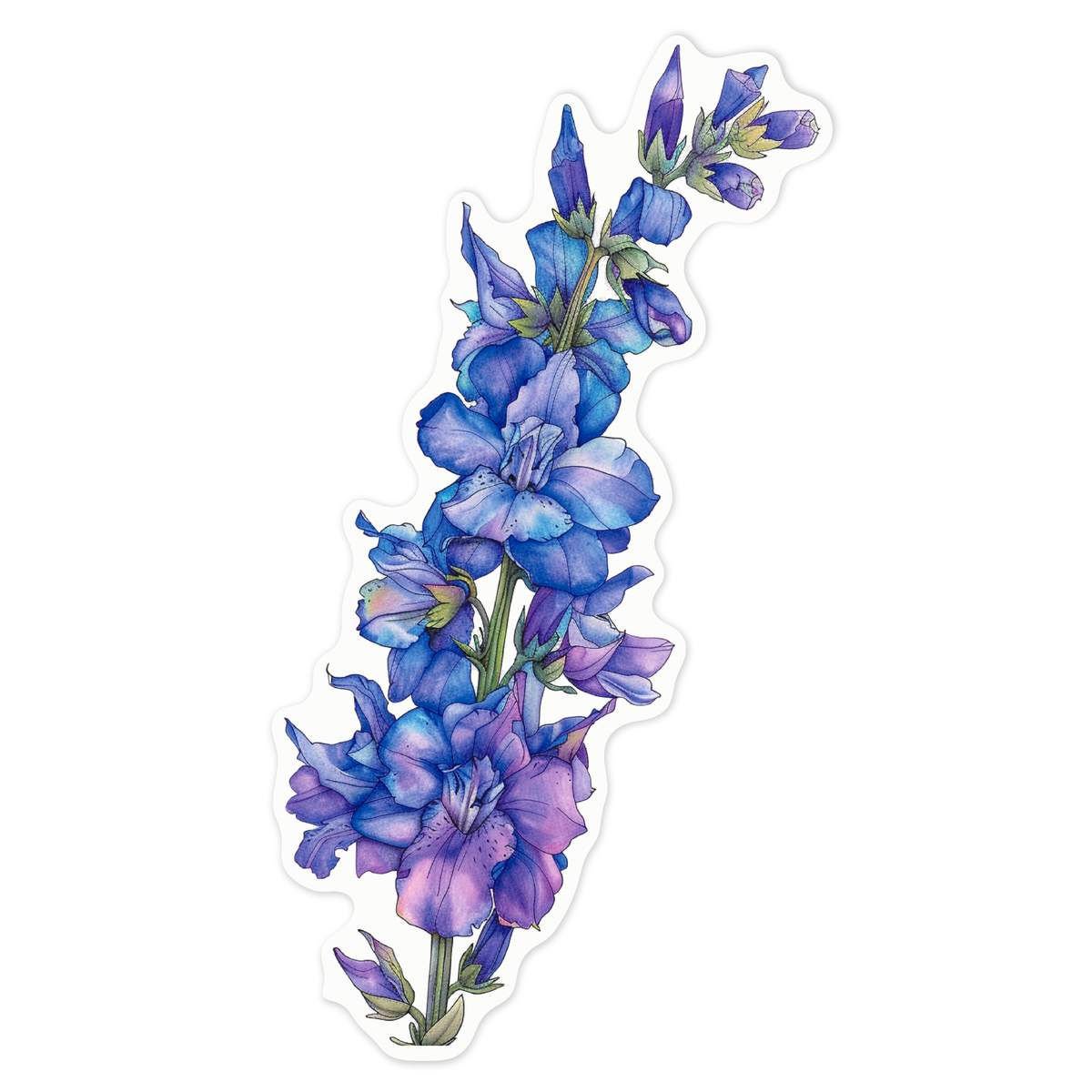 'Larkspur Flower ' White Premium Vinyl Decal Sticker – Waterproof, Durable & Easy to Apply - For Car Bumpers, Windows, Bins & More - Large (210mm) (DW00120630)