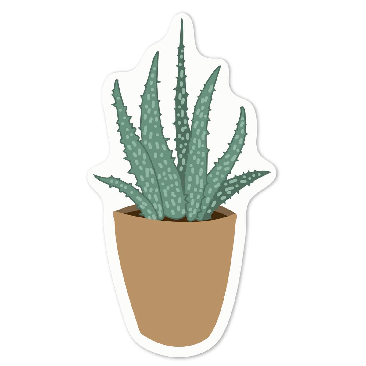 agave braune flecken Amerikanische Agave - Agave americana
