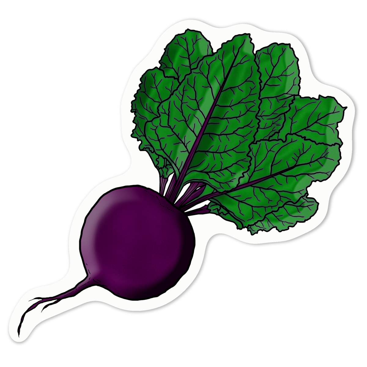 'Fresh Beetroot' White Premium Vinyl Decal Sticker – Waterproof, Durable & Easy to Apply - For Car Bumpers, Windows, Bins & More - Medium (100mm) (DW00049178)