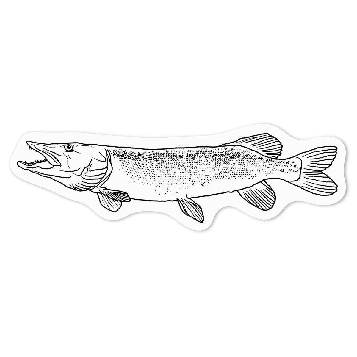 'Pike Fish' White Premium Vinyl Decal Sticker – Waterproof, Durable & Easy to Apply - For Car Bumpers, Windows, Bins & More - Medium (100mm) (DW00049906)