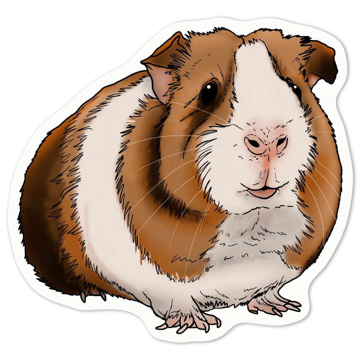 'Guniea Pig' White Premium Vinyl Decal Sticker – Waterproof, Durable & Easy to Apply - For Car Bumpers, Windows, Bins & More - Medium (100mm) (DW00053686)