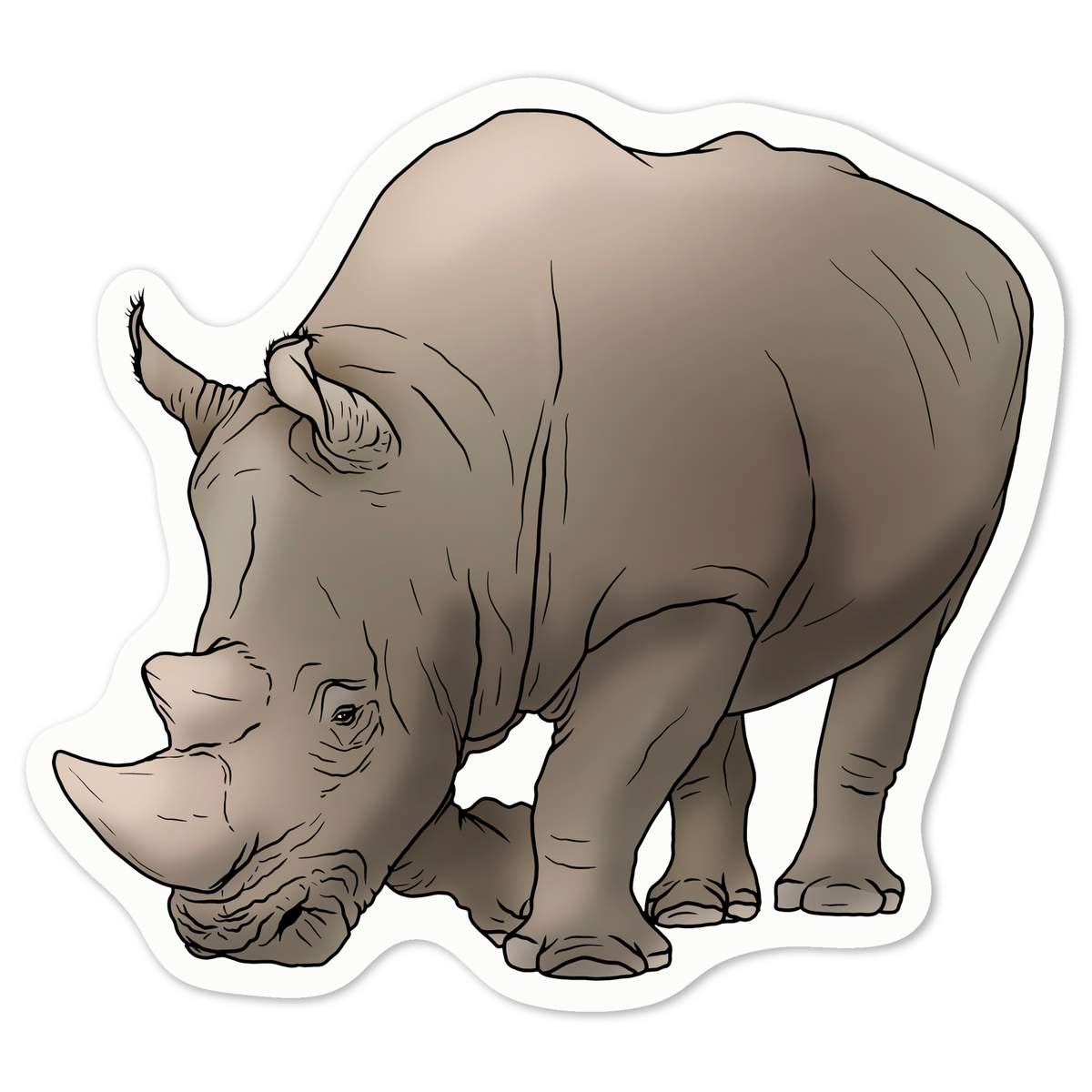 'Rhino' White Premium Vinyl Decal Sticker – Waterproof, Durable & Easy to Apply - For Car Bumpers, Windows, Bins & More - Medium (100mm) (DW00068482)