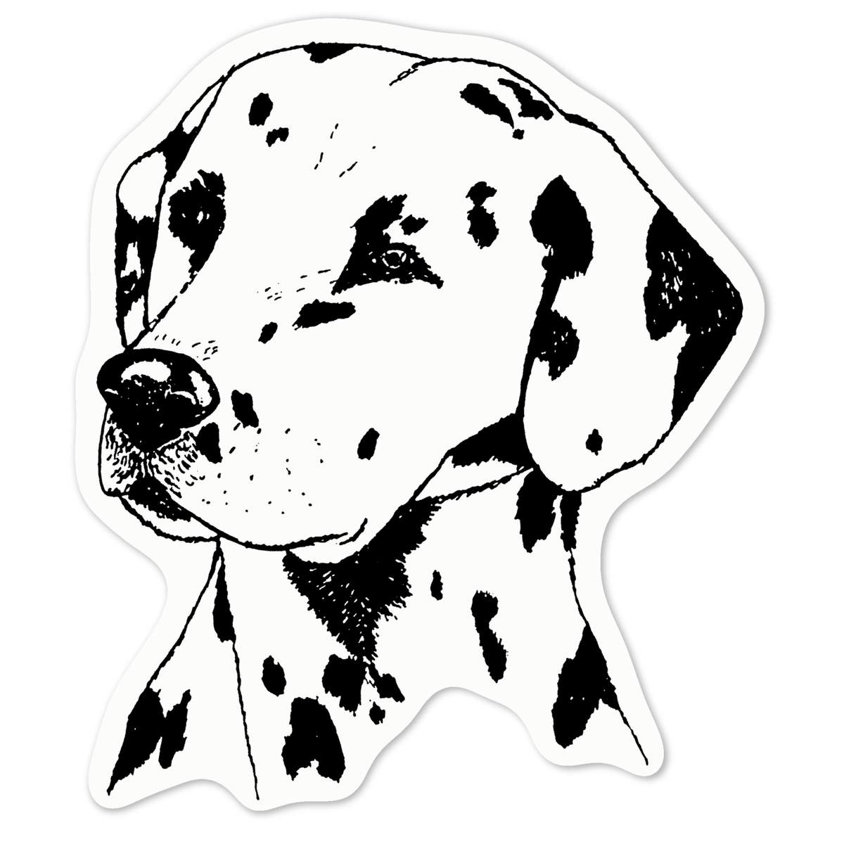 'Dalmation Head' White Premium Vinyl Decal Sticker – Waterproof, Durable & Easy to Apply - For Car Bumpers, Windows, Bins & More - Medium (100mm) (DW00071806)