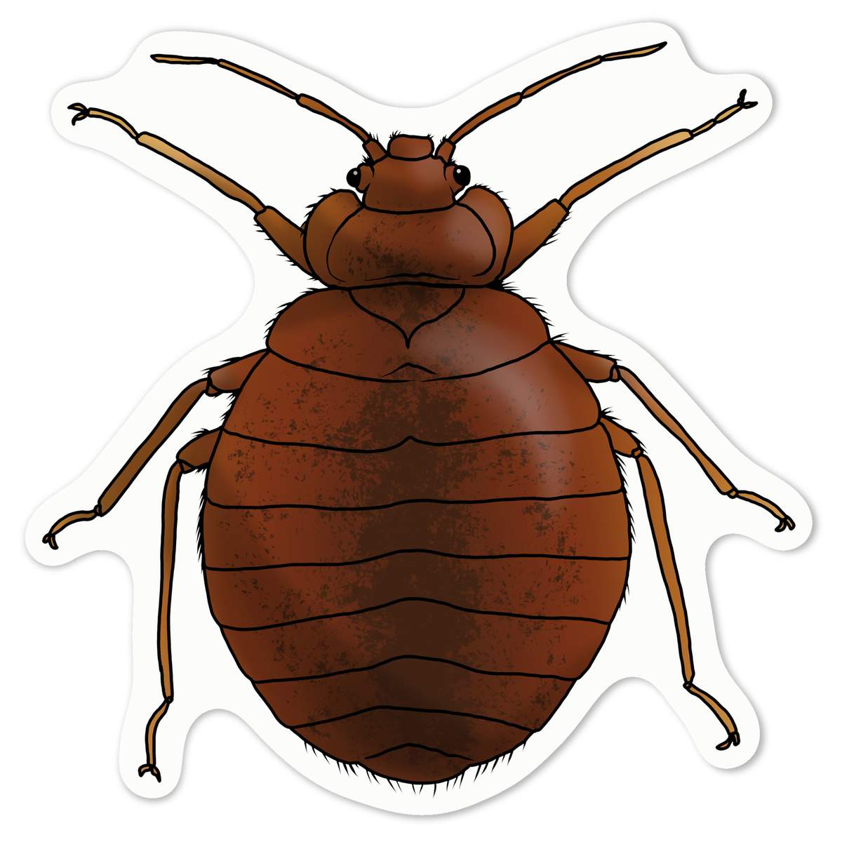 'Bed Bug' White Premium Vinyl Decal Sticker – Waterproof, Durable & Easy to Apply - For Car Bumpers, Windows, Bins & More - Medium (100mm) (DW00081221)