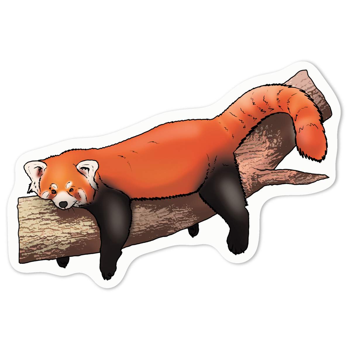 'Lazy Red Panda' White Premium Vinyl Decal Sticker – Waterproof, Durable & Easy to Apply - For Car Bumpers, Windows, Bins & More - Medium (100mm) (DW00092889)