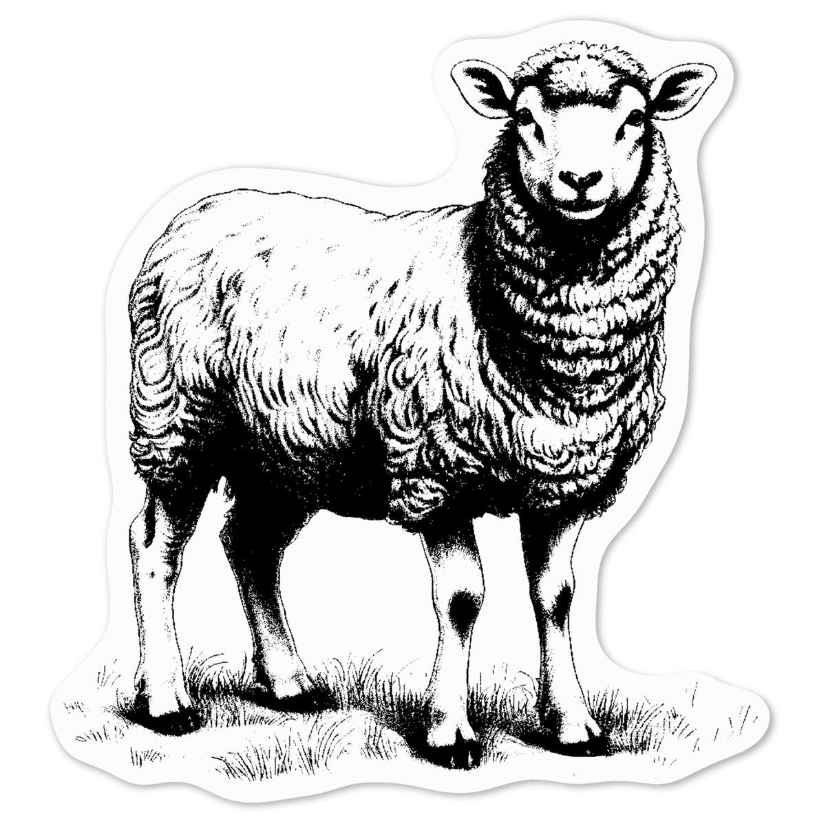 'Sheep' Vinyl Decal Sticker - White, 10cm - Waterproof Permanent Graphic for Cars, Windows, Bins and Smooth Surfaces (DW00093269)
