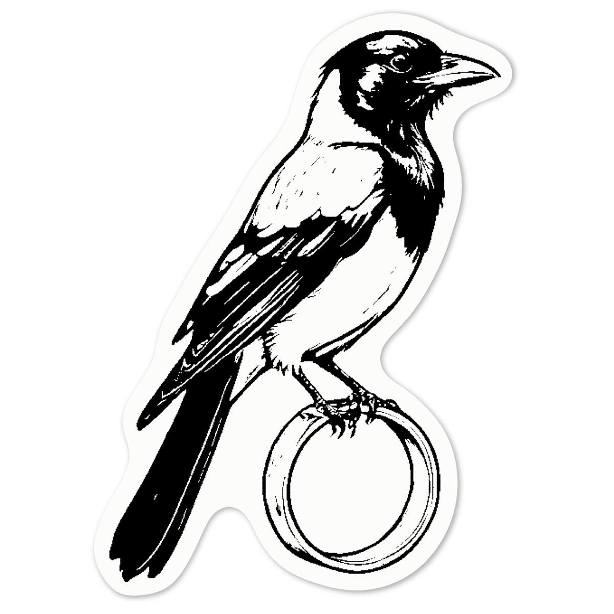 'Magpie Stealing Ring' White Premium Vinyl Decal Sticker – Waterproof, Durable & Easy to Apply - For Car Bumpers, Windows, Bins & More - Medium (100mm) (DW00106373)