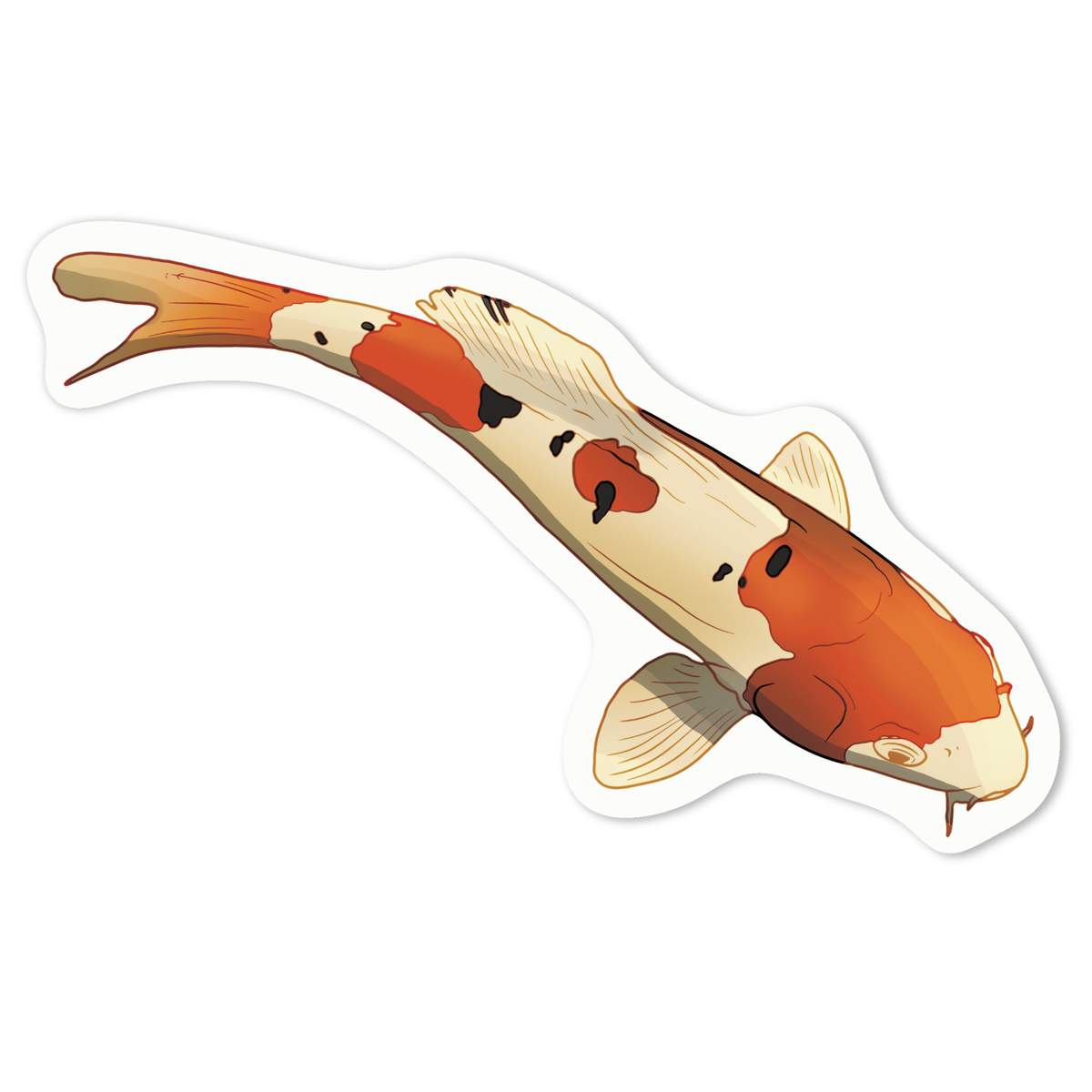 'Koi Fish' White Premium Vinyl Decal Sticker – Waterproof, Durable & Easy to Apply - For Car Bumpers, Windows, Bins & More - Medium (100mm) (DW00113177)