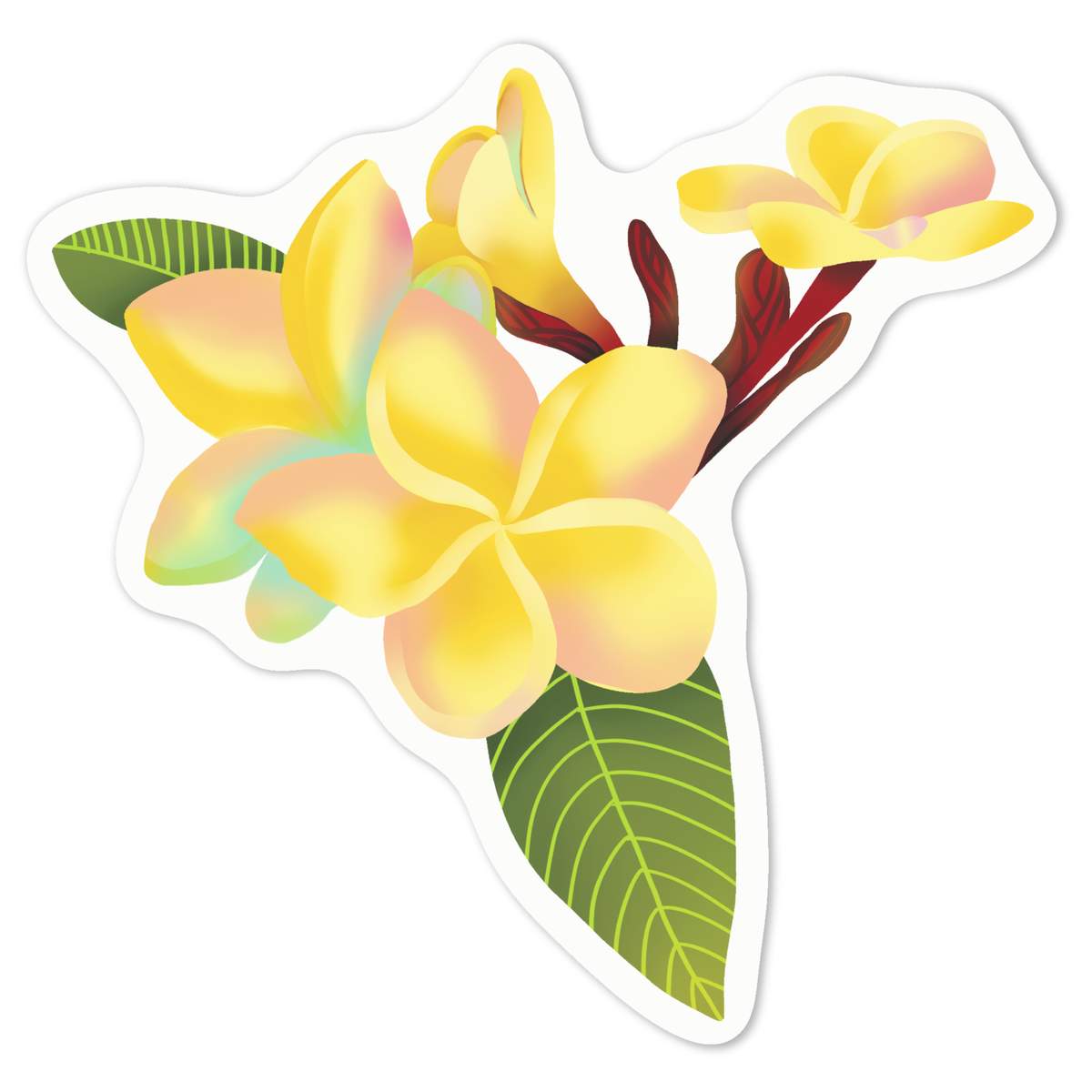 'Hawaiian Plumeria' White Premium Vinyl Decal Sticker – Waterproof, Durable & Easy to Apply - For Car Bumpers, Windows, Bins & More - Medium (100mm) (DW00128957)