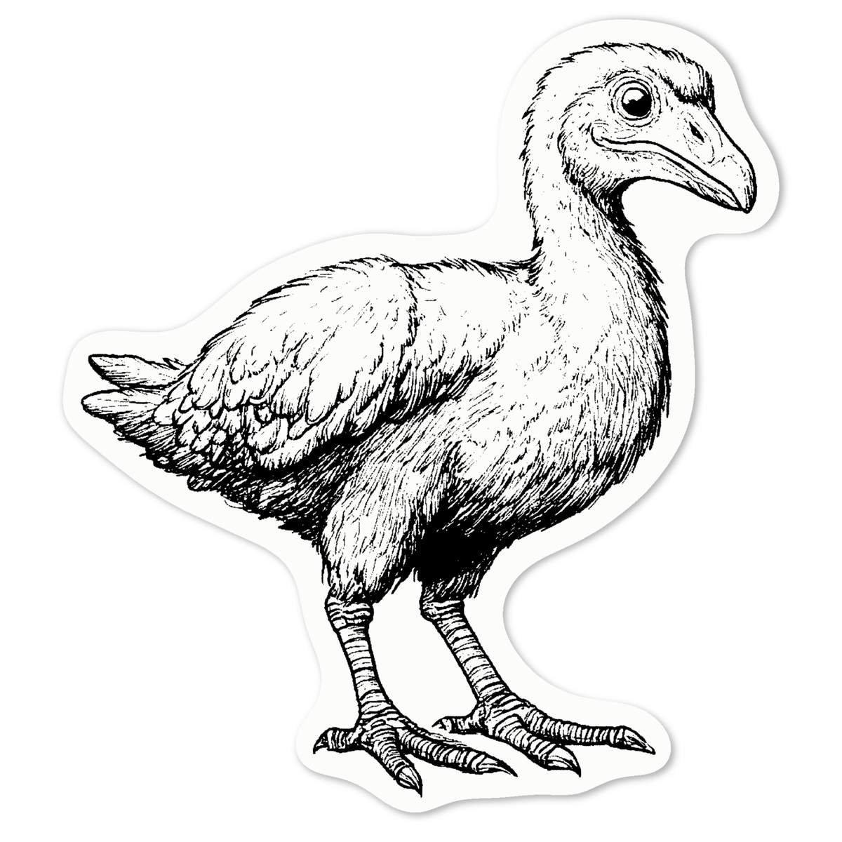 'Dodo Bird' White Premium Vinyl Decal Sticker – Waterproof, Durable & Easy to Apply - For Car Bumpers, Windows, Bins & More - Medium (100mm) (DW00130505)