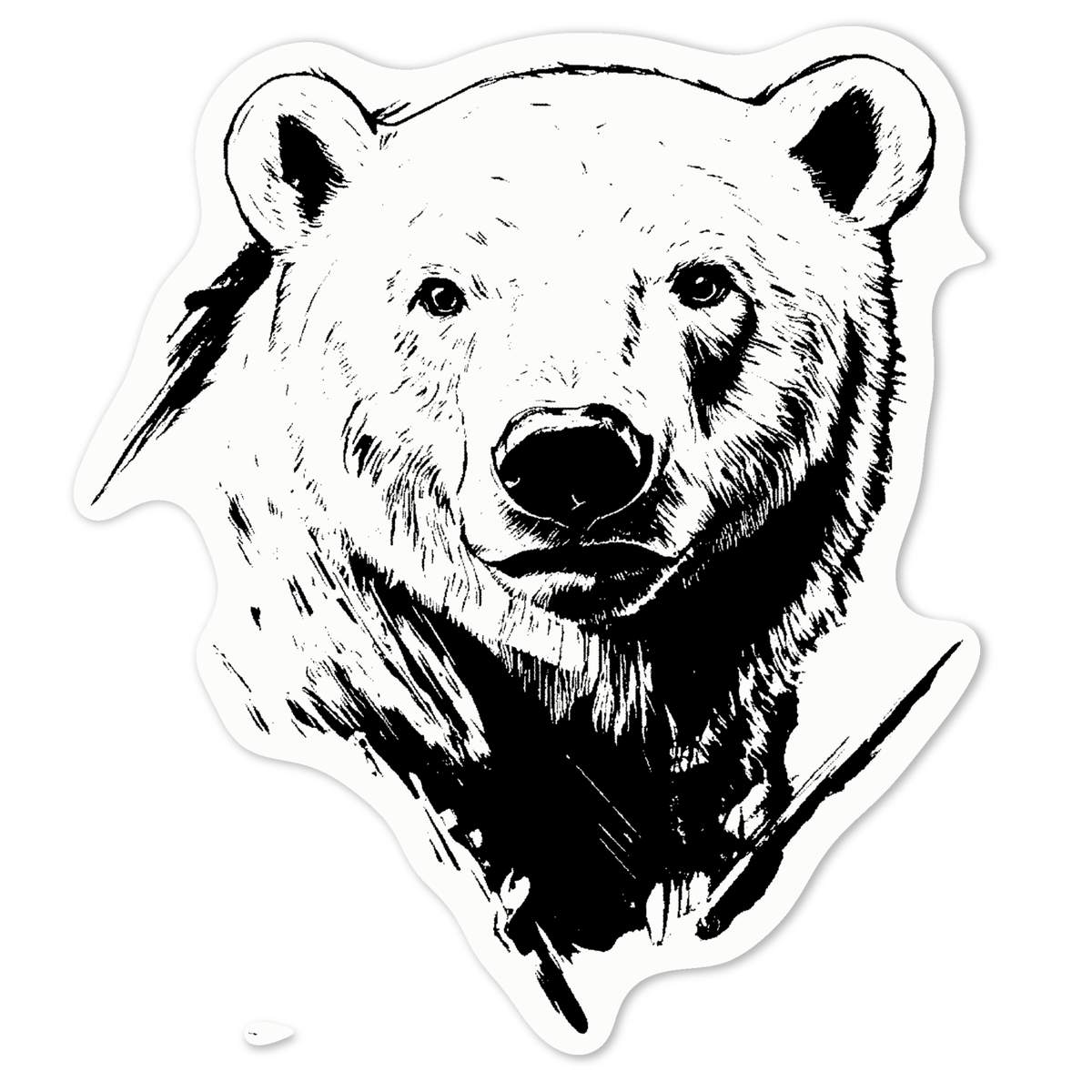 'Polar Bear Portrait' White Premium Vinyl Decal Sticker – Waterproof, Durable & Easy to Apply - For Car Bumpers, Windows, Bins & More - Medium (100mm) (DW00131681)
