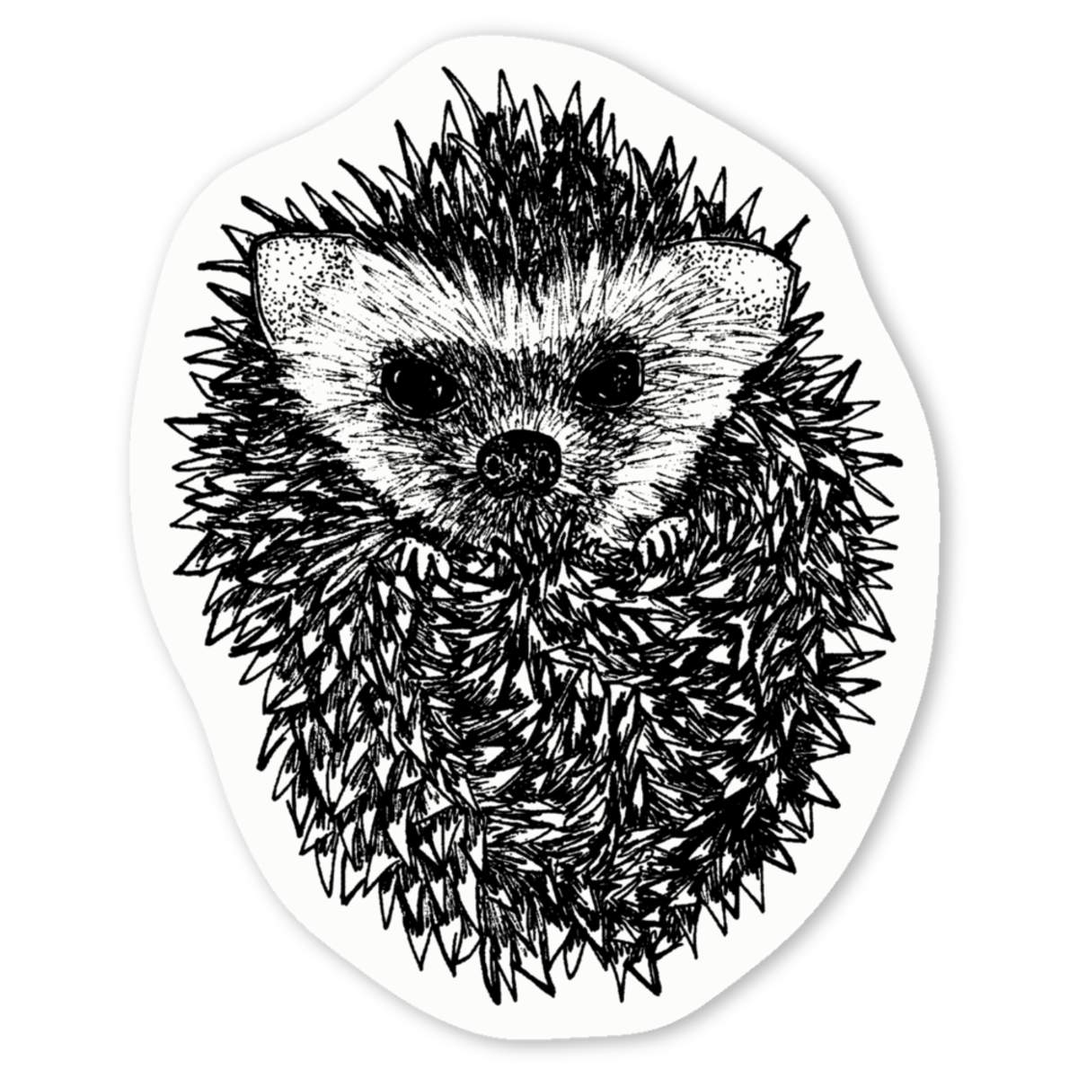 'Cute Hedgehog' Premium Vinyl Decal Stickers – Waterproof, Durable & Easy to Apply - Ideal for Cars, Windows, Bins and More (DW015582)