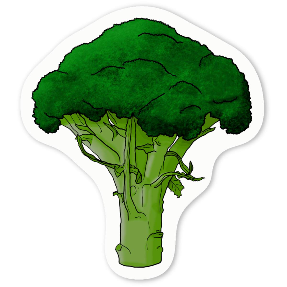'Broccoli' Premium Vinyl Decal Stickers – Waterproof, Durable & Easy to Apply - Ideal for Cars, Windows, Bins and More (DW028622)