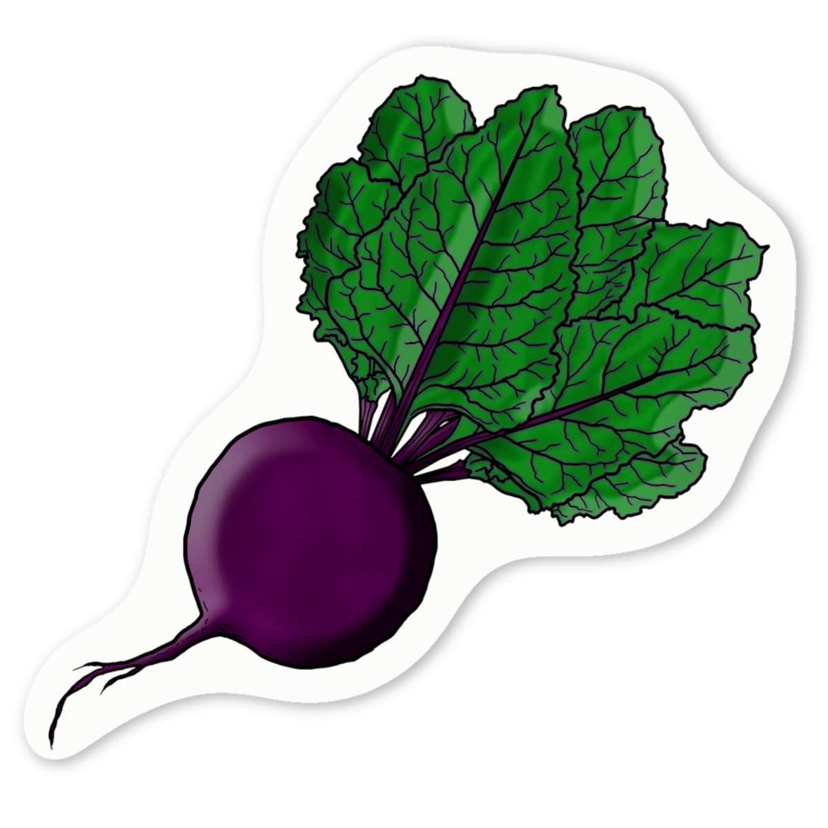 'Fresh Beetroot' Premium Vinyl Decal Stickers – Waterproof, Durable & Easy to Apply - Ideal for Cars, Windows, Bins and More (DW029295)