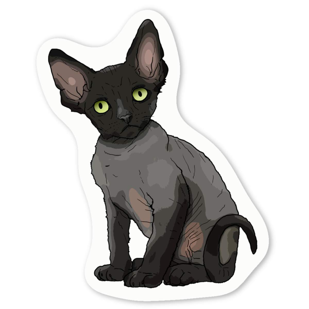 'Devon Rex Kitten' Premium Vinyl Decal Stickers – Waterproof, Durable & Easy to Apply - Ideal for Cars, Windows, Bins and More (DW029371)