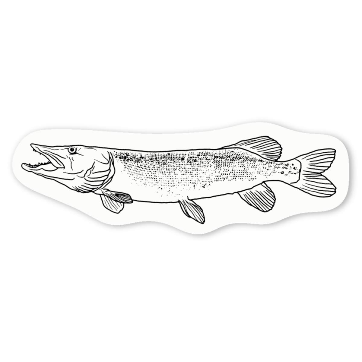 'Pike Fish' Premium Vinyl Decal Stickers – Waterproof, Durable & Easy to Apply - Ideal for Cars, Windows, Bins and More (DW029492)
