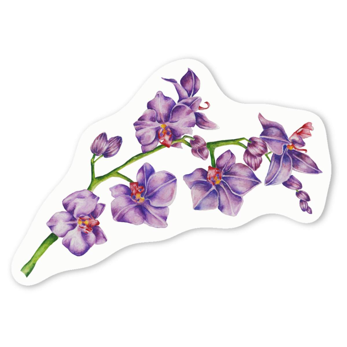 'Purple Orchid Branch' Premium Vinyl Decal Stickers – Waterproof, Durable & Easy to Apply - Ideal for Cars, Windows, Bins and More (DW030381)
