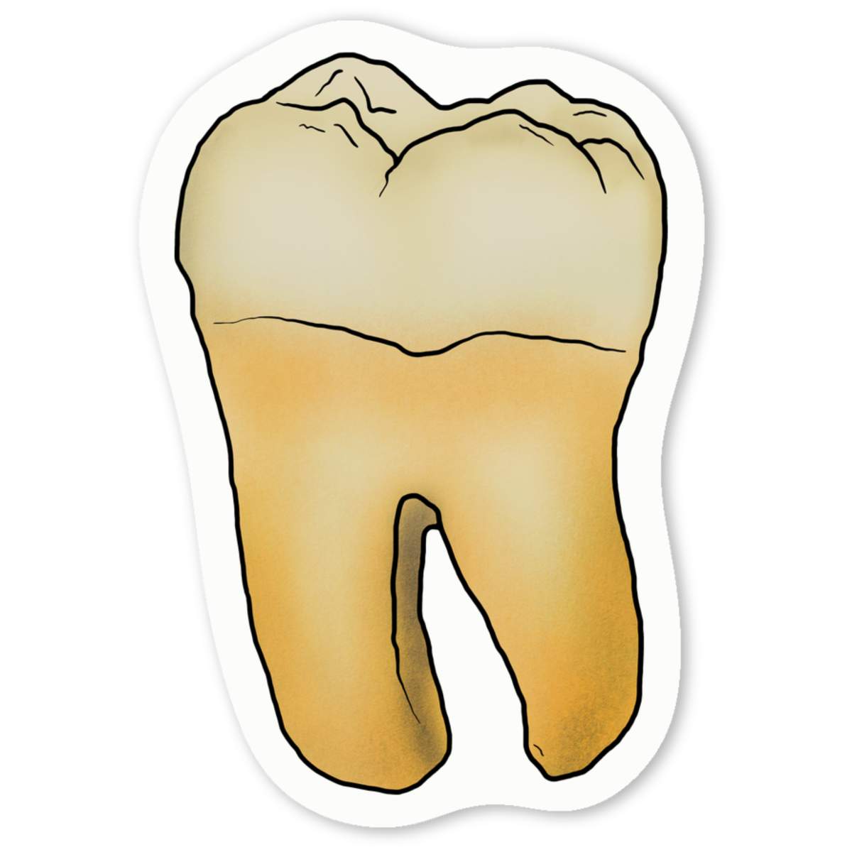 'Tooth' Premium Vinyl Decal Stickers – Waterproof, Durable & Easy to Apply - Ideal for Cars, Windows, Bins and More (DW030392)
