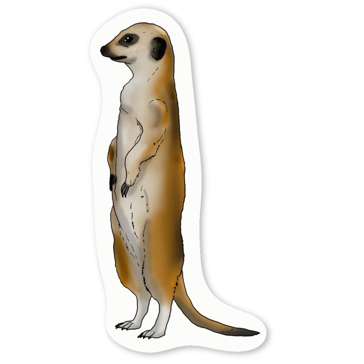 'Alert Meerkat' White Vinyl Decal Sticker - Waterproof Permanent Vinyl Decal for Cars, Windows and Bins (DW030394)