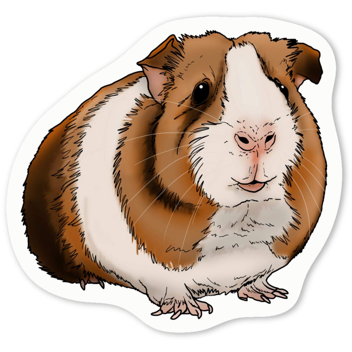 'Guniea Pig' Premium Vinyl Decal Stickers – Waterproof, Durable & Easy to Apply - Ideal for Cars, Windows, Bins and More (DW030451)