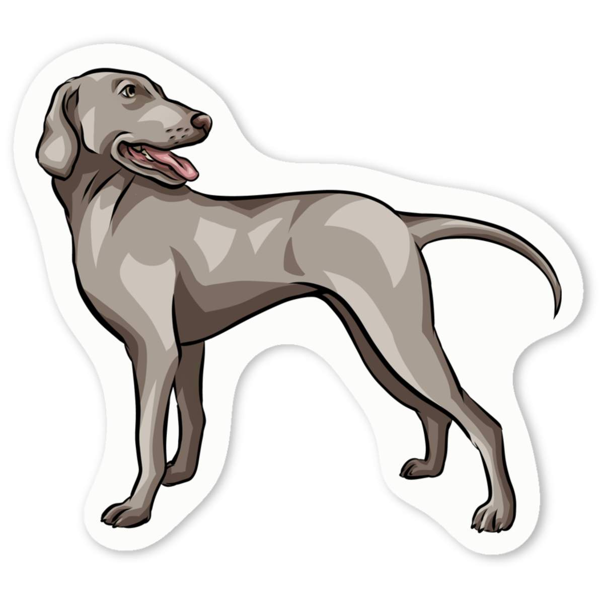 'Weimaraner Dog' Premium Vinyl Decal Stickers – Waterproof, Durable & Easy to Apply - Ideal for Cars, Windows, Bins and More (DW030792)