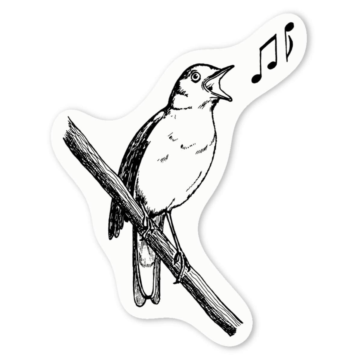4 x 'Common Nightingale' White Premium Vinyl Decal Stickers – Waterproof, Durable & Easy to Apply - For Car Bumpers, Windows, Bins & More - Small (50mm) (DW00069785)