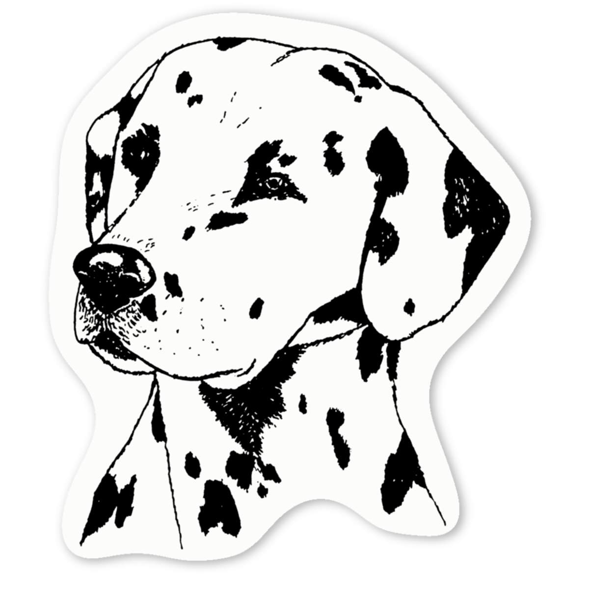 'Dalmation Head' Premium Vinyl Decal Stickers – Waterproof, Durable & Easy to Apply - Ideal for Cars, Windows, Bins and More (DW036401)