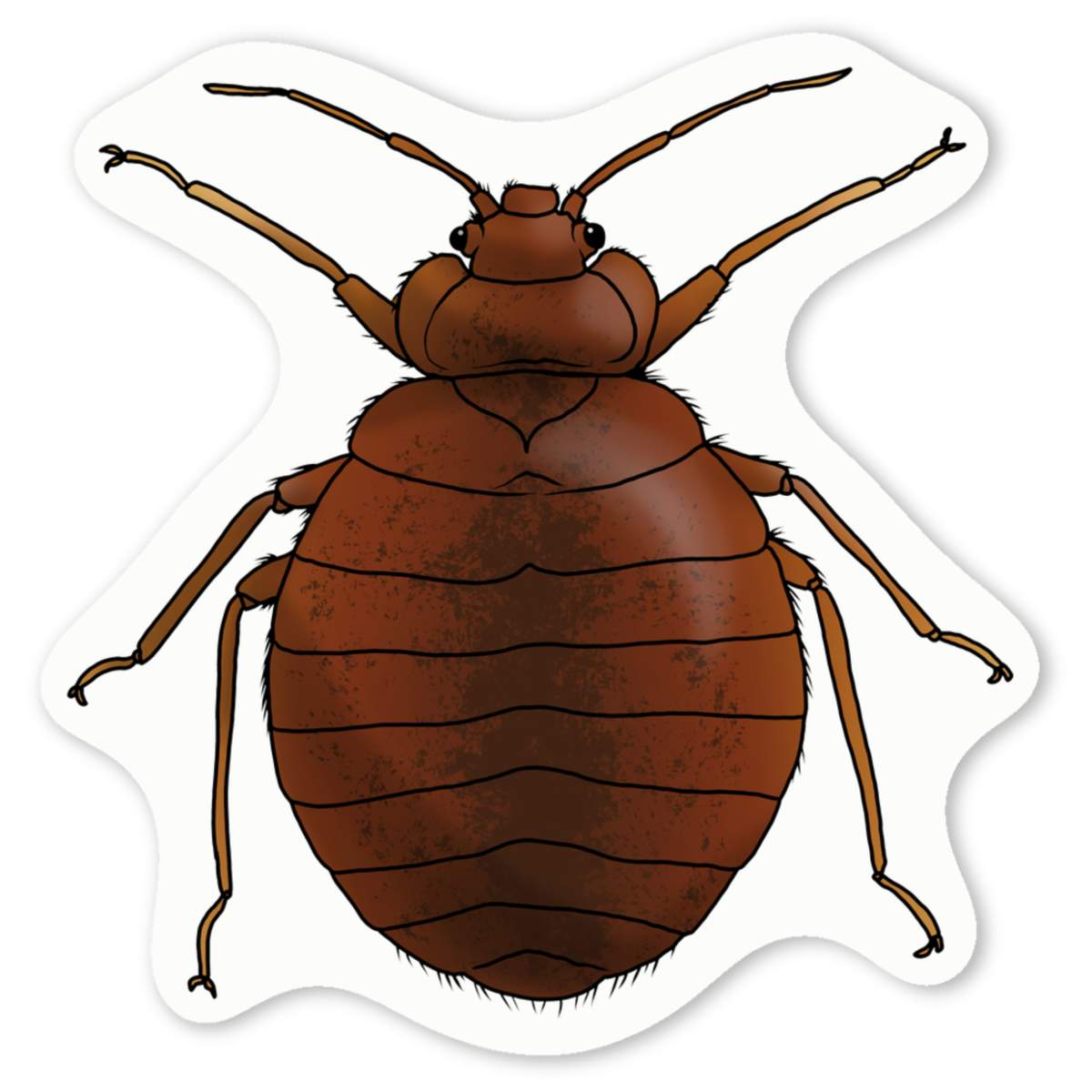 'Bed Bug' Premium Vinyl Decal Stickers – Waterproof, Durable & Easy to Apply - Ideal for Cars, Windows, Bins and More (DW037445)