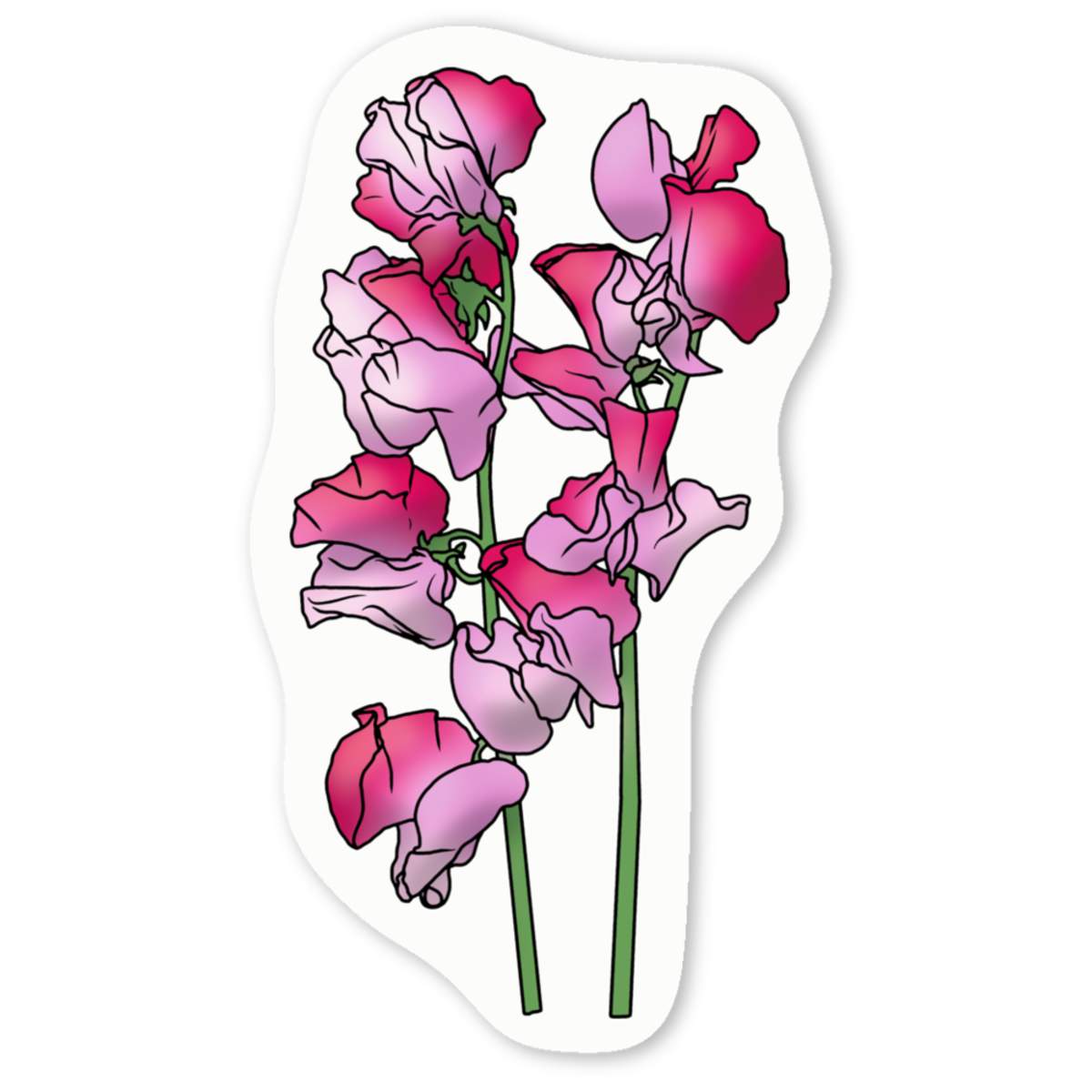 'Pink Sweetpea Flowers' Premium Vinyl Decal Stickers – Waterproof, Durable & Easy to Apply - Ideal for Cars, Windows, Bins and More (DW038597)