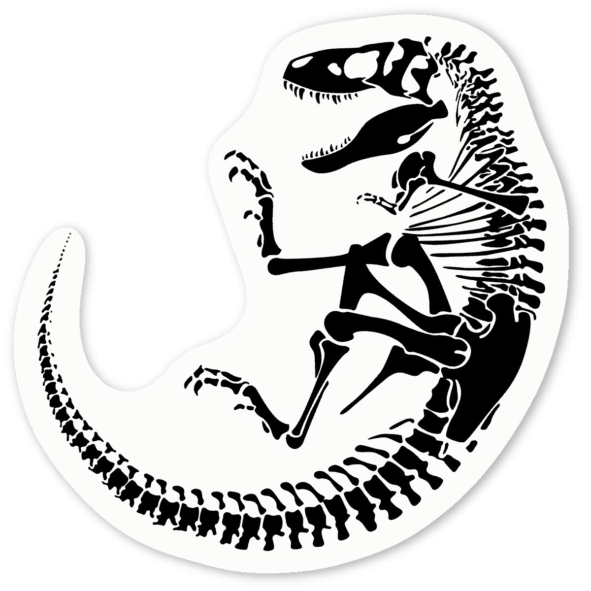 'Tyrannosaurus Fossil' Premium Vinyl Decal Stickers – Waterproof, Durable & Easy to Apply - Ideal for Cars, Windows, Bins and More (DW039034)