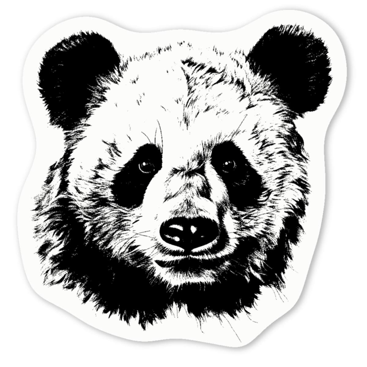 'Panda' Premium Vinyl Decal Stickers – Waterproof, Durable & Easy to Apply - Ideal for Cars, Windows, Bins and More (DW039828)