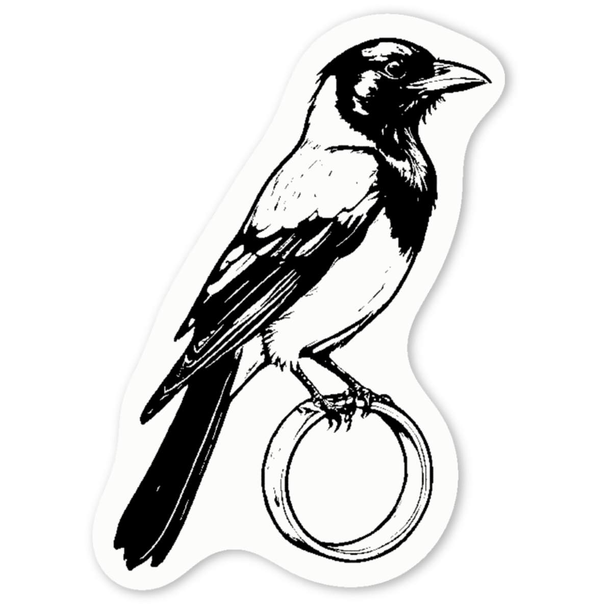 'Magpie Stealing Ring' Premium Vinyl Decal Stickers – Waterproof, Durable & Easy to Apply - Ideal for Cars, Windows, Bins and More (DW044822)