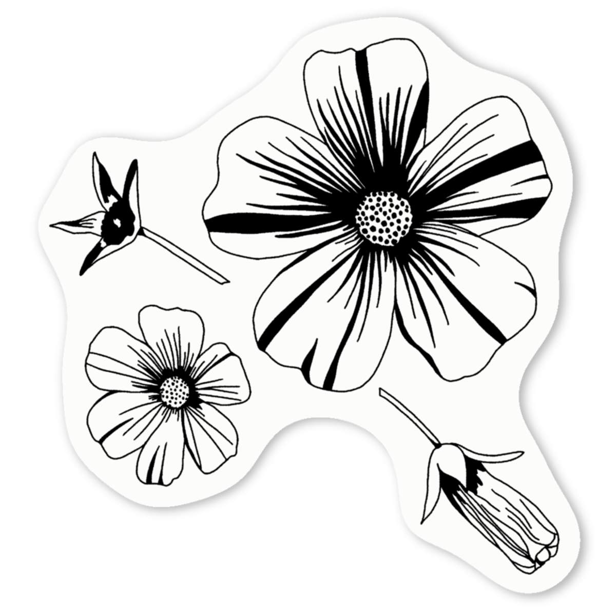 'Flower Heads & Seed Pod' Premium Vinyl Decal Stickers – Waterproof, Durable & Easy to Apply - Ideal for Cars, Windows, Bins and More (DW045272)