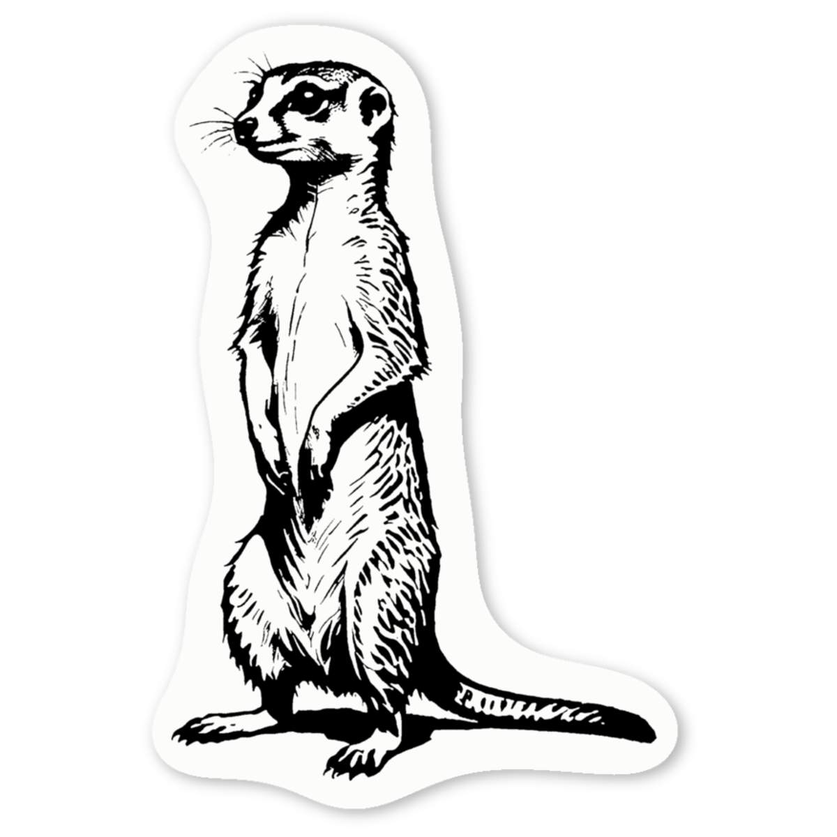 'Meerkat Standing Upright' Premium Vinyl Decal Stickers – Waterproof, Durable & Easy to Apply - Ideal for Cars, Windows, Bins and More (DW046197)