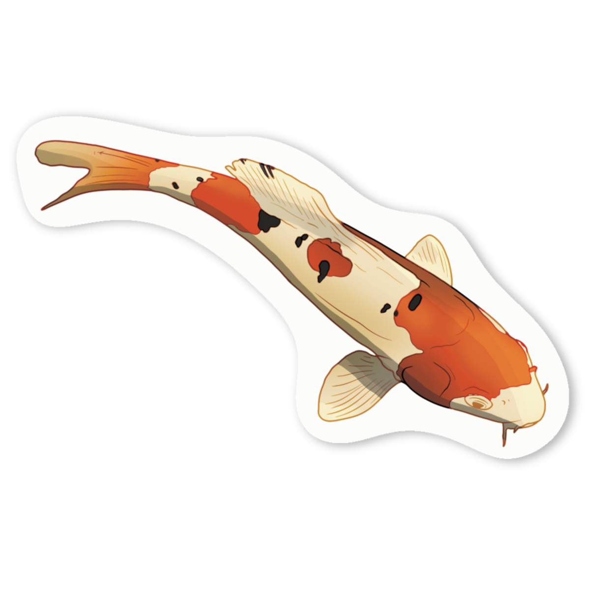 'Koi Fish' Premium Vinyl Decal Stickers – Waterproof, Durable & Easy to Apply - Ideal for Cars, Windows, Bins and More (DW046647)