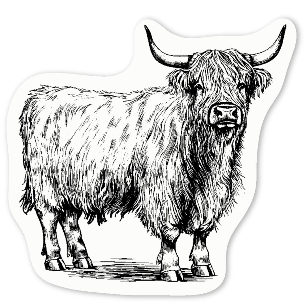 4 x 'Highland Cow Standing' White Premium Vinyl Decal Stickers – Waterproof, Durable & Easy to Apply - For Car Bumpers, Windows, Bins & More - Small (50mm) (DW00129532)