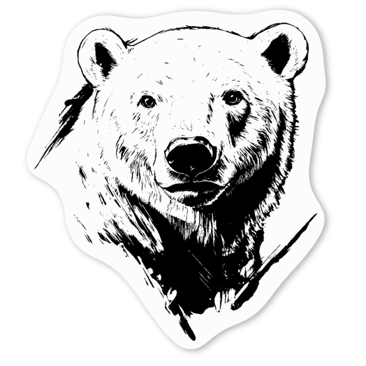 4 x 'Polar Bear Portrait' White Premium Vinyl Decal Stickers – Waterproof, Durable & Easy to Apply - For Car Bumpers, Windows, Bins & More - Small (50mm) (DW00131680)