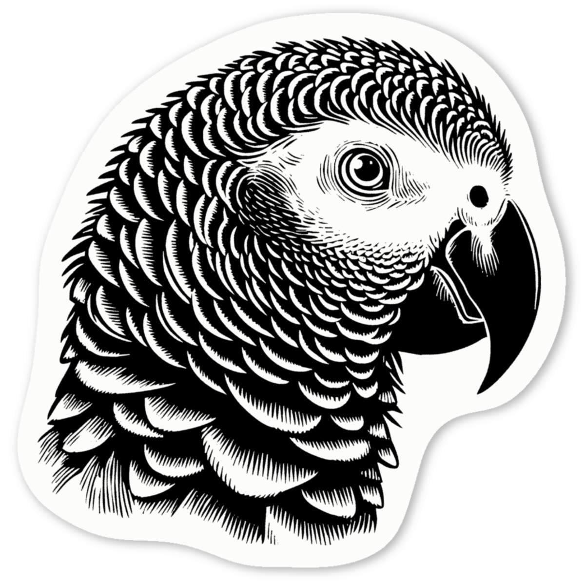 'African Grey Parrot' White Vinyl Decal Sticker - Waterproof Permanent Vinyl Decal for Cars, Windows and Bins (DW053538)