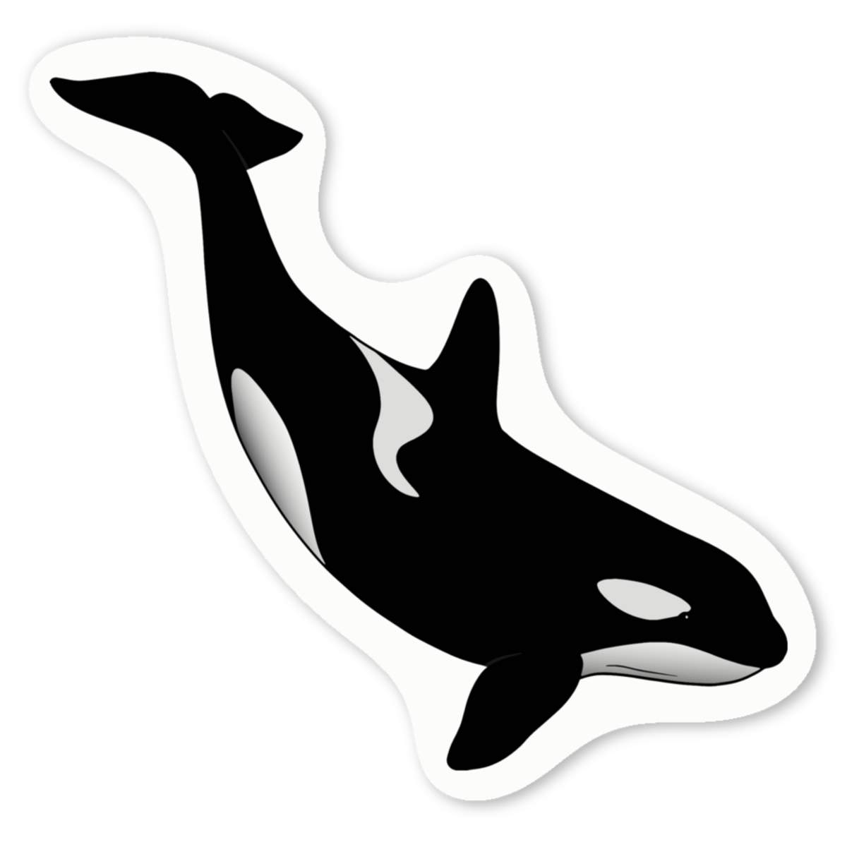 'Diving Orca Marine' Premium Vinyl Decal Stickers – Waterproof, Durable & Easy to Apply - Ideal for Cars, Windows, Bins and More (DW054791)