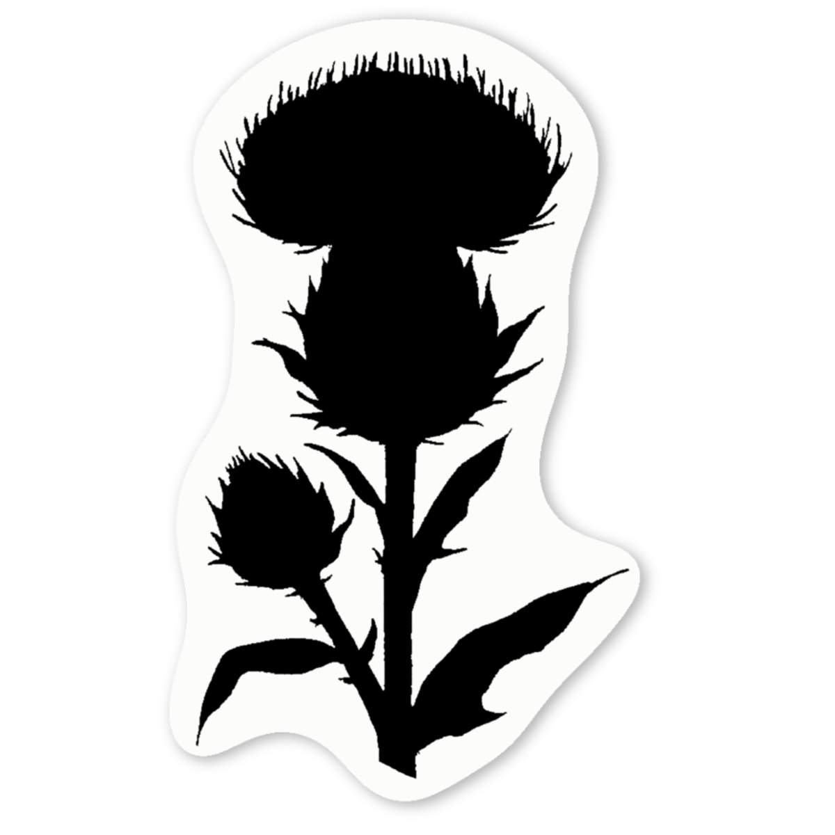 'Thistle Flower Silhouette' Premium Vinyl Decal Stickers – Waterproof, Durable & Easy to Apply - Ideal for Cars, Windows, Bins and More (DW055213)