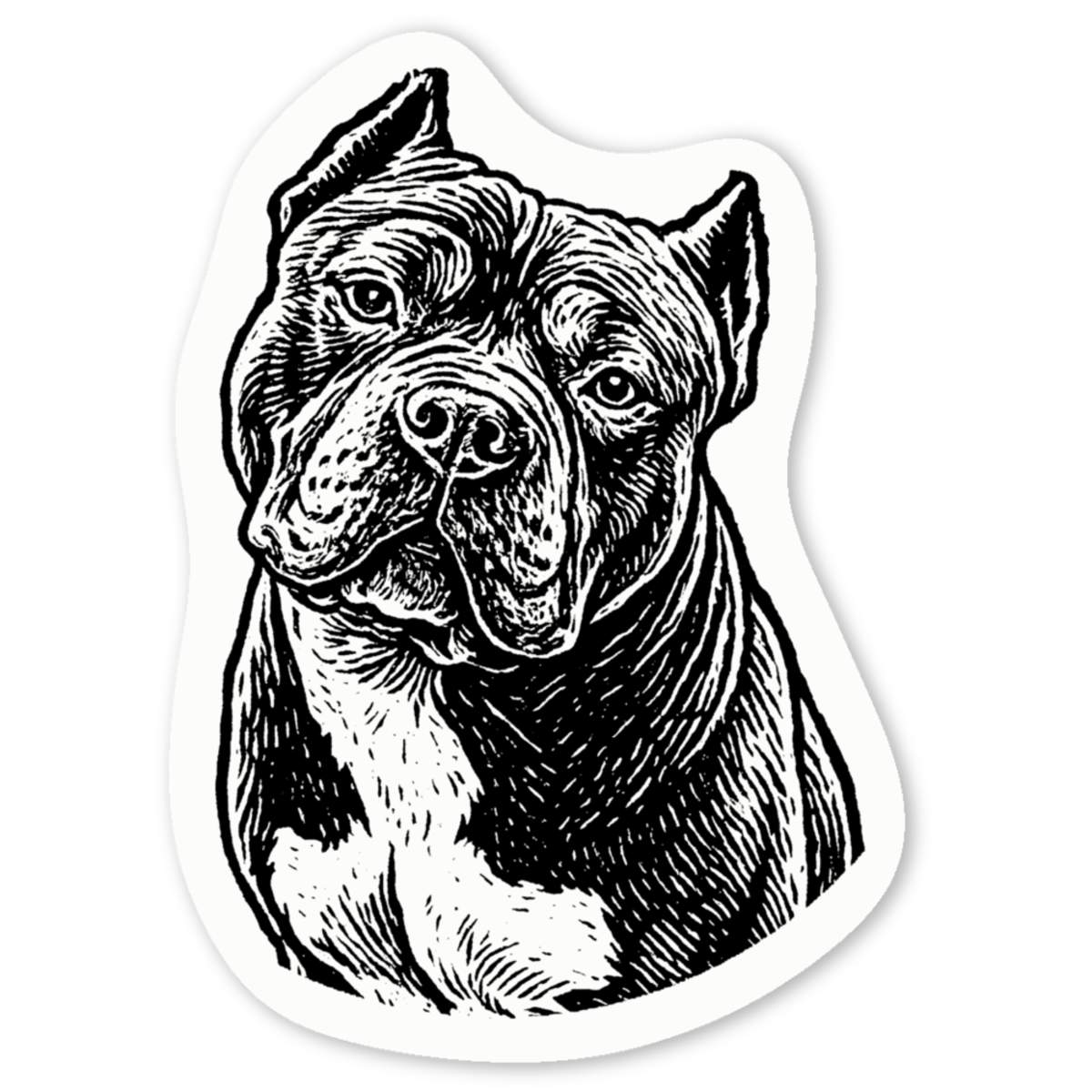 'American Bully Dog Portrait' Premium Vinyl Decal Stickers – Waterproof, Durable & Easy to Apply - Ideal for Cars, Windows, Bins and More (DW058126)