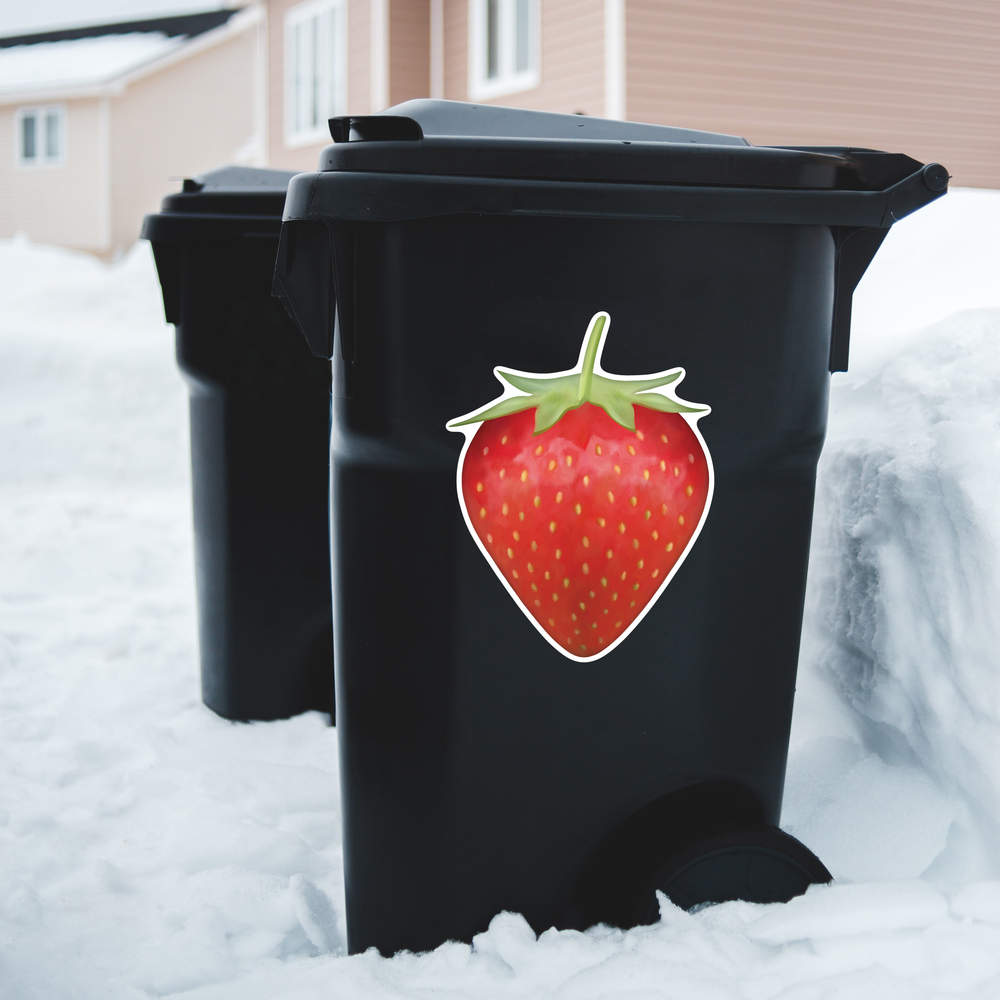 'Strawberry' Decal Stickers (DW023636) - Picture 26 of 30