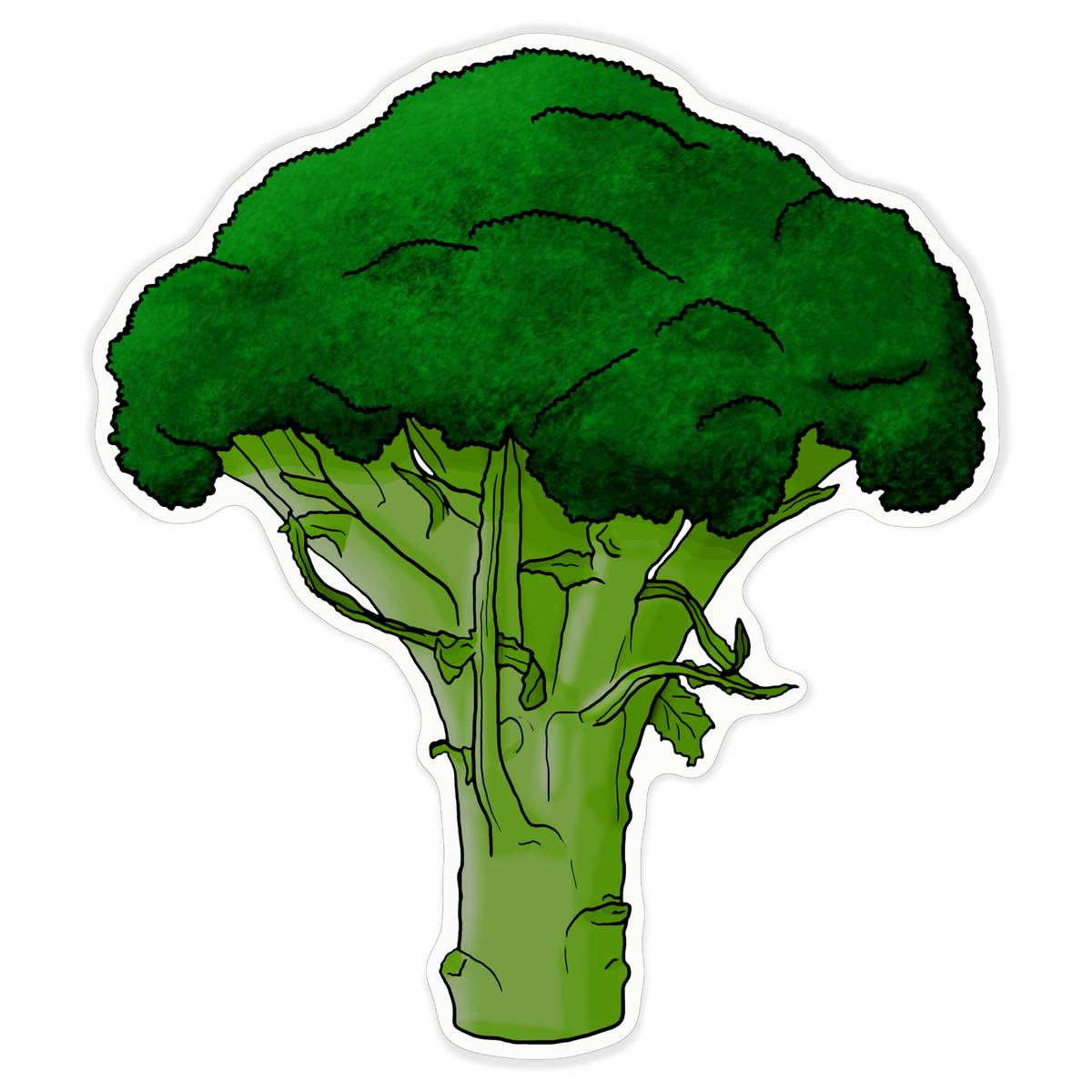 'Broccoli' White Premium Vinyl Decal Sticker – Waterproof, Durable & Easy to Apply - For Car Bumpers, Windows, Bins & More - XL (460mm) (DW00047512)