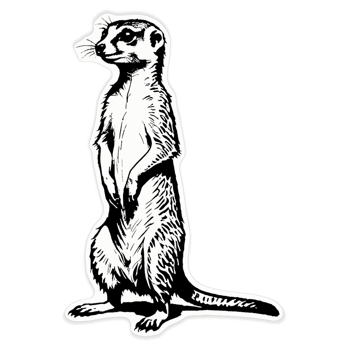 'Meerkat Standing Upright' White Premium Vinyl Decal Sticker – Waterproof, Durable & Easy to Apply - For Car Bumpers, Windows, Bins & More - XL (460mm) (DW00111535)