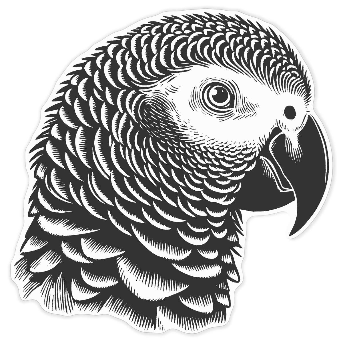 'African Grey Parrot' Vinyl Decal Sticker - White, 72cm - Waterproof Permanent Graphic for Cars, Windows, Bins and Smooth Surfaces (DW00170937)